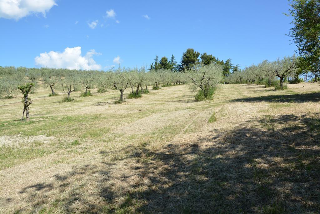 Casale Fusco Bauernhof *
