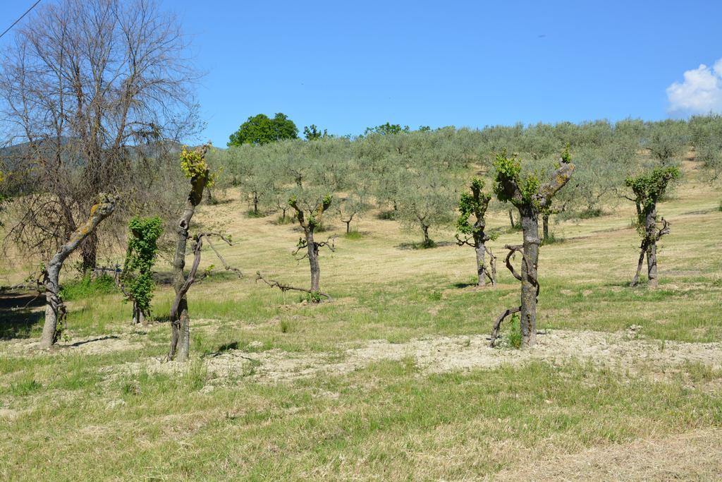 Casale Fusco Spoleto